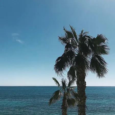 Downtown In Front Of The Sea Altea